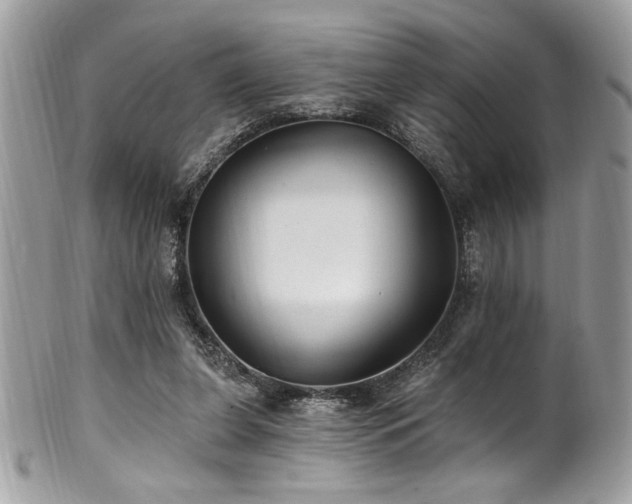 X0000102310255200807251446