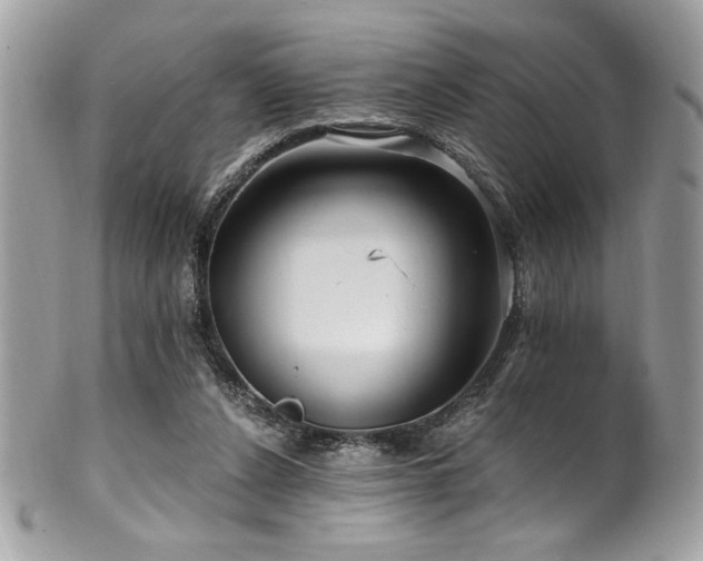 X0000102310256200807251446