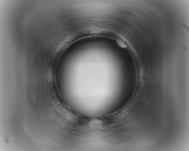 X0000102310257200807251446