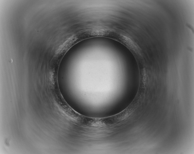 X0000102310258200807251446