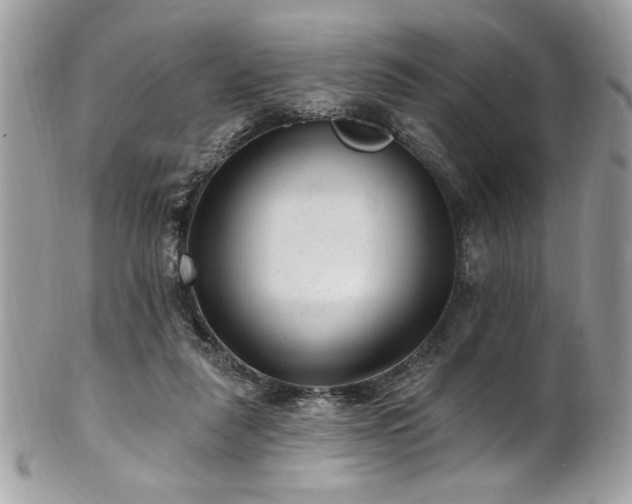 X0000102310259200807251446