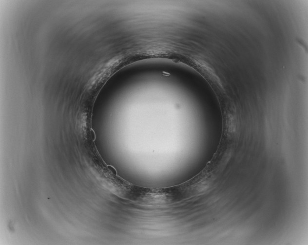 X0000102310260200807251446