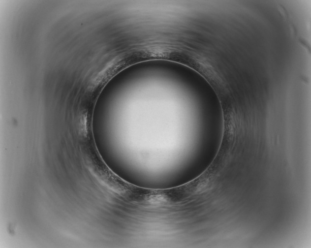 X0000102310262200807251446