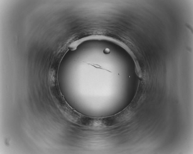 X0000102310264200807251446