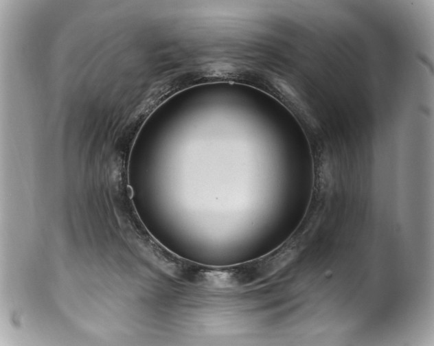 X0000102310265200807251446