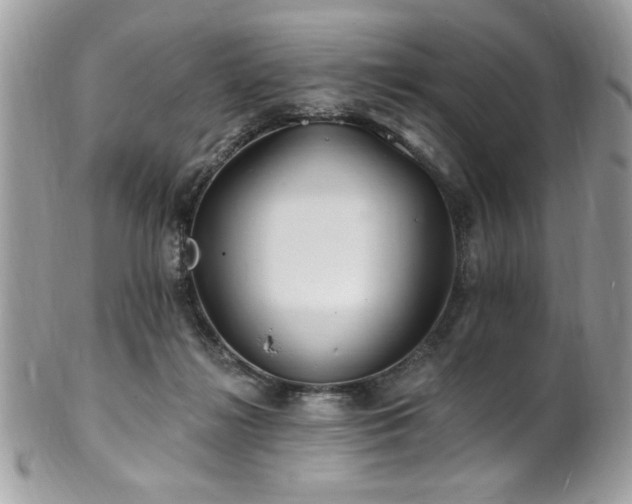 X0000102310268200807251446