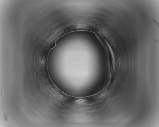 X0000102310269200807251446