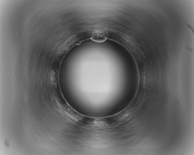 X0000102310270200807251446