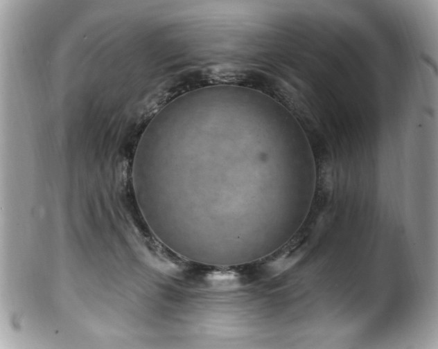 X0000102310271200807251446