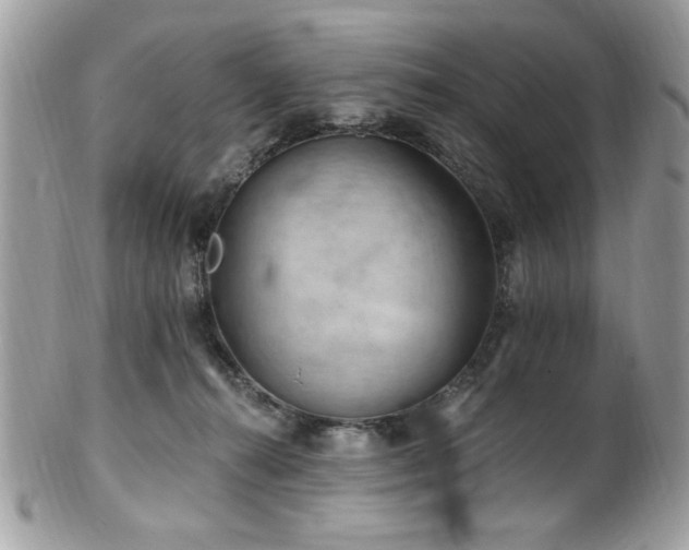 X0000102310272200807251447