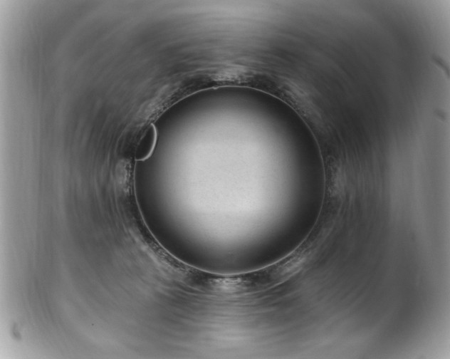 X0000102310273200807251447