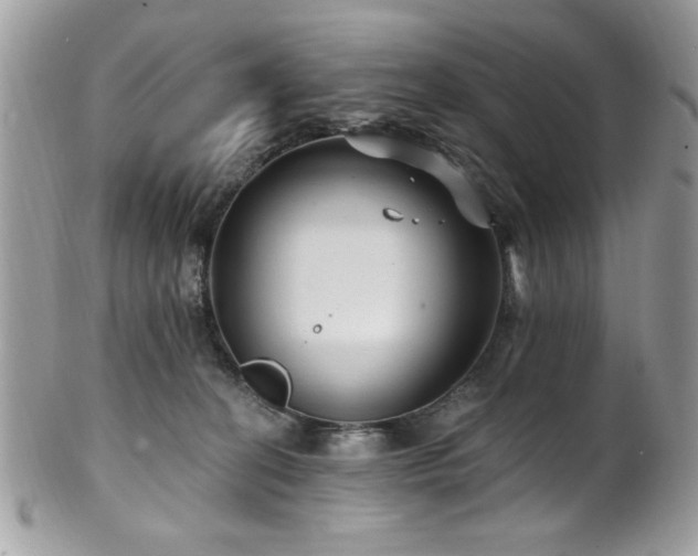 X0000102310274200807251447