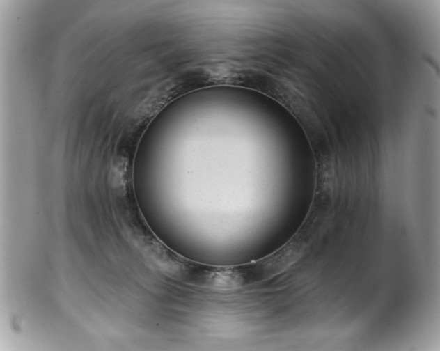 X0000102310275200807251447