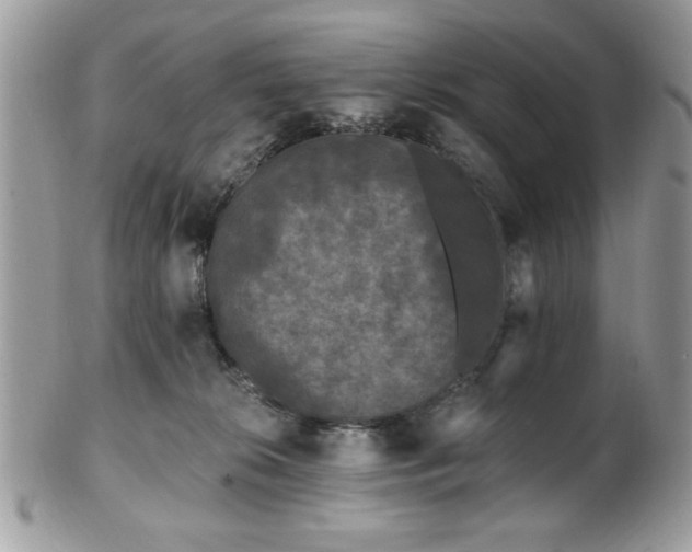 X0000102310276200807251447