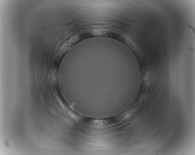 X0000102310277200807251447