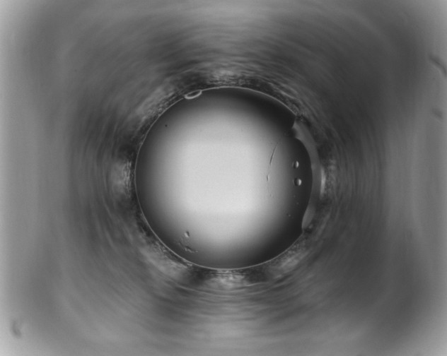 X0000102310278200807251447