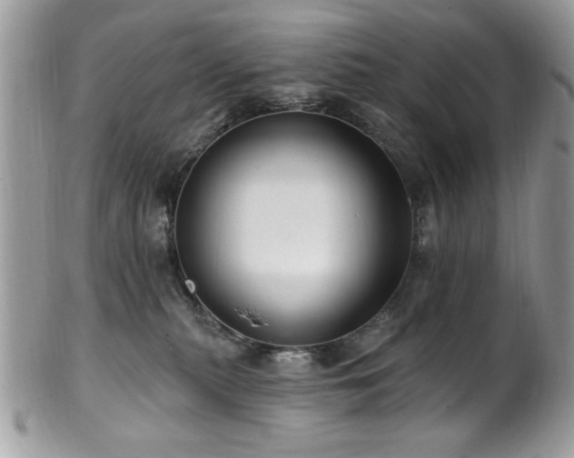 X0000102310279200807251447