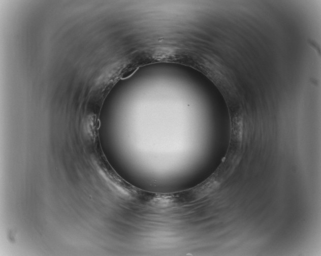 X0000102310280200807251447