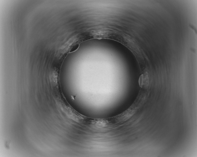 X0000102310282200807251447