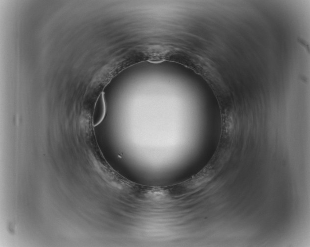 X0000102310283200807251447