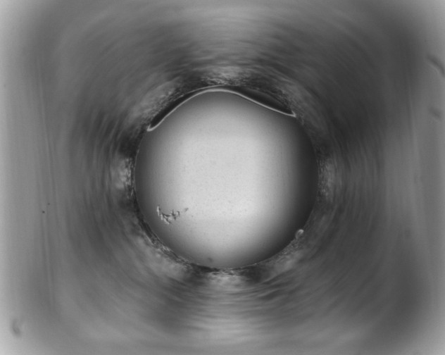 X0000102310284200807251447