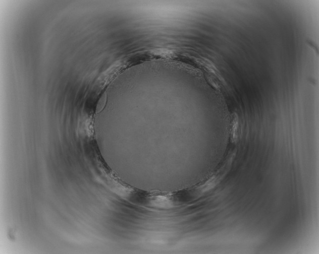 X0000102310285200807251447