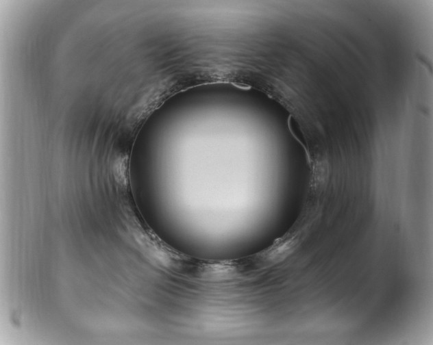 X0000102310286200807251447