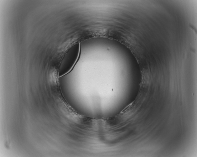 X0000102310287200807251447