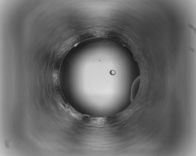 X0000102310288200807251447