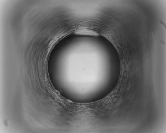 X0000102310289200807251446