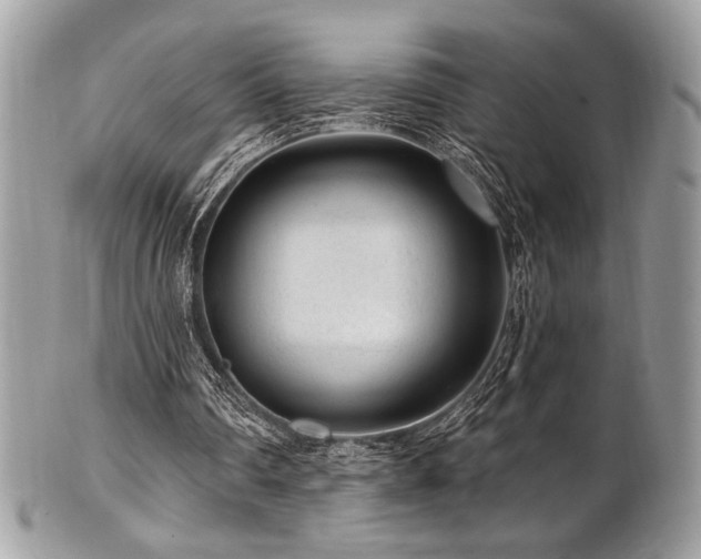 X0000102310290200807251446