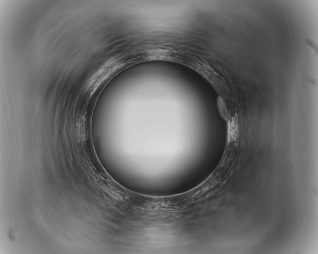 X0000102310291200807251446