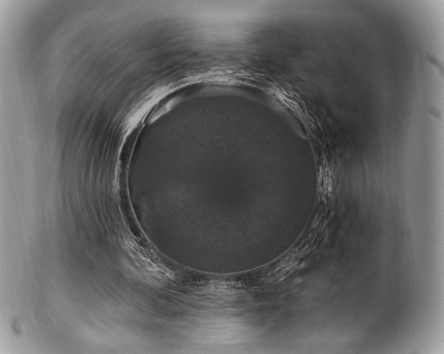 X0000102310292200807251446