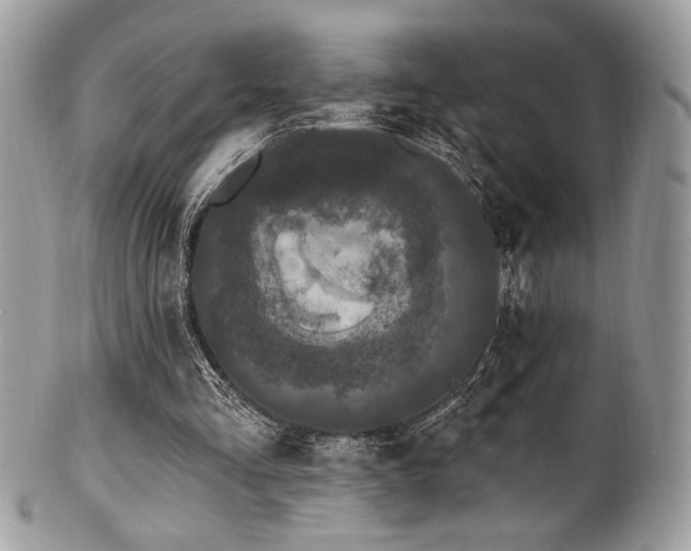 X0000102310293200807251446