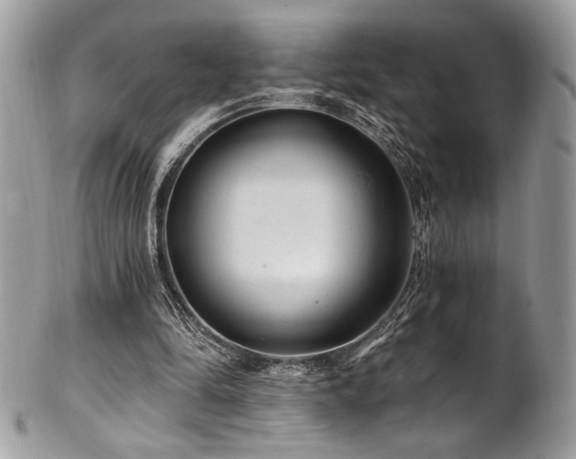 X0000102310294200807251446