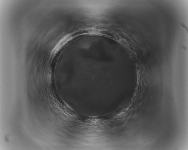 X0000102310295200807251446