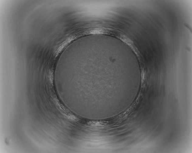 X0000102310297200807251446