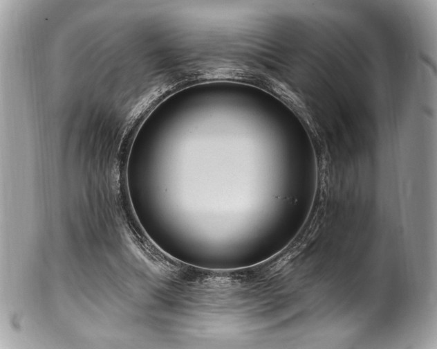 X0000102310298200807251446