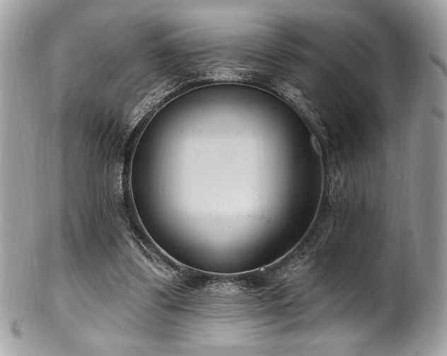 X0000102310299200807251446