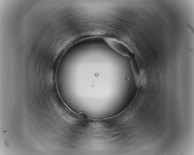 X0000102310300200807251446