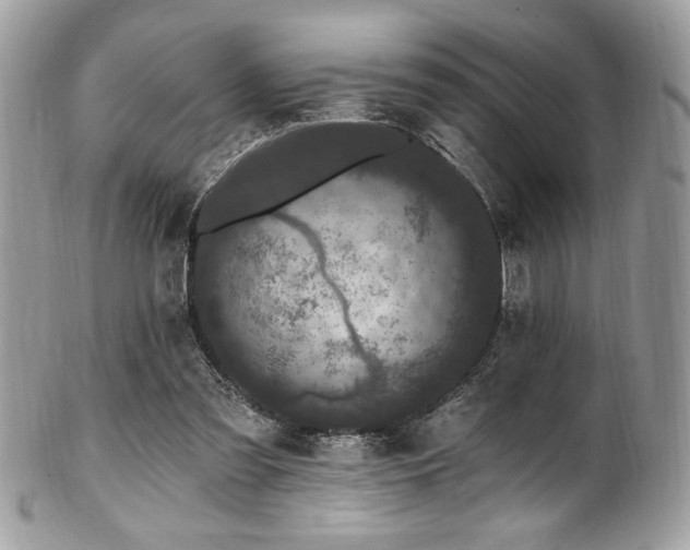 X0000102310301200807251446