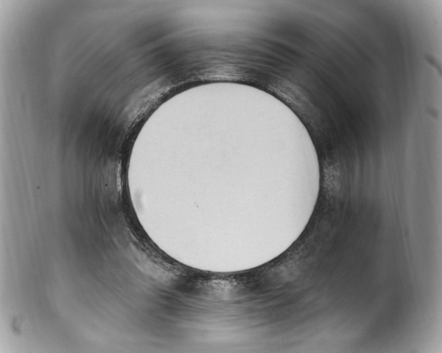 X0000102310302200807251446