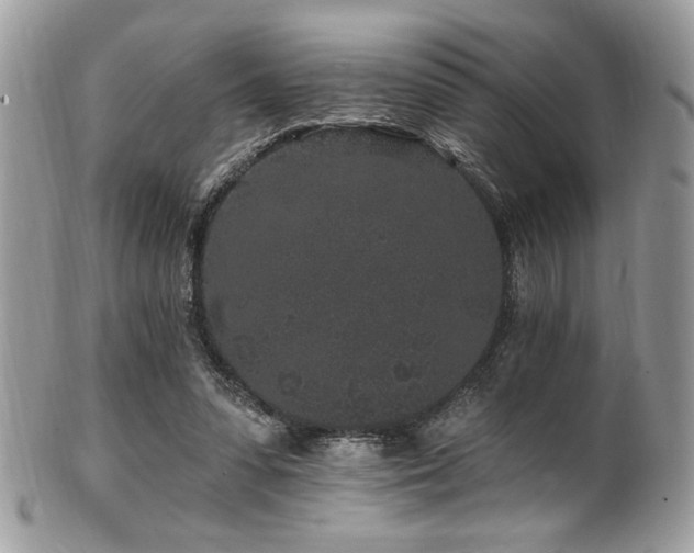 X0000102310303200807251446