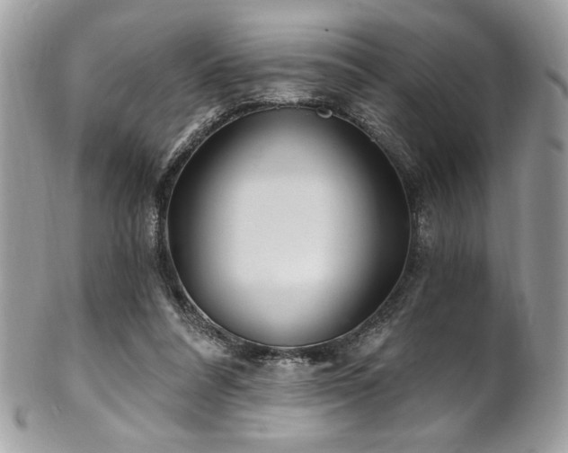 X0000102310304200807251446