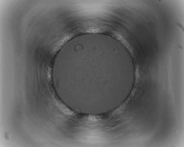 X0000102310305200807251446