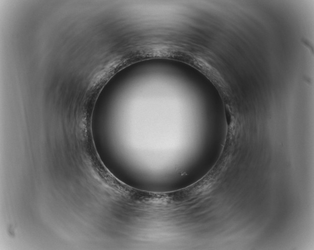 X0000102310306200807251446