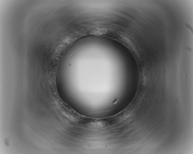 X0000102310307200807251446