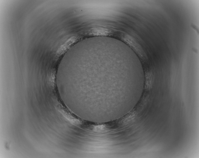 X0000102310309200807251446