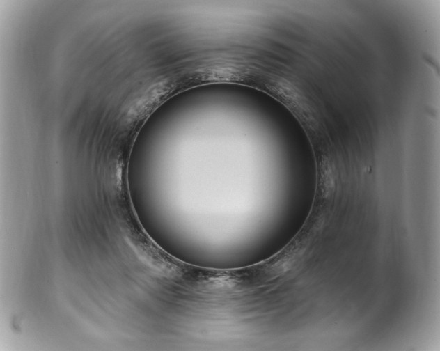 X0000102310310200807251446