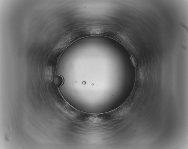 X0000102310311200807251446